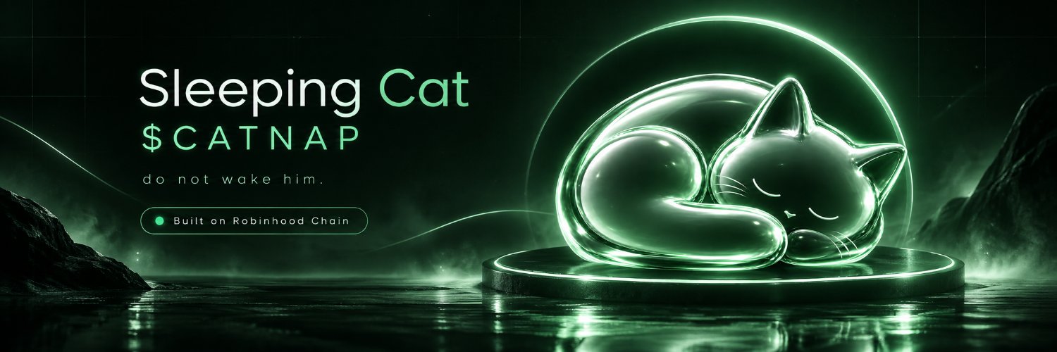 sleepingcatfam's profile banner image