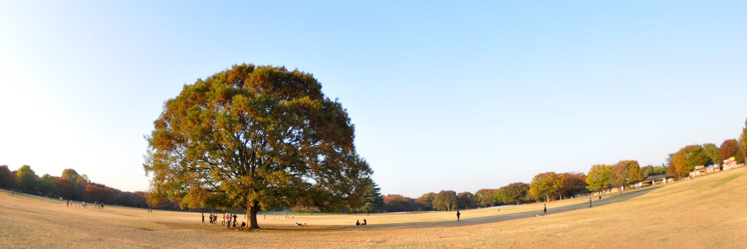 HIMEKOUBOU's profile banner image