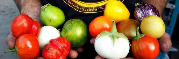 ParsonsFarm's profile banner image