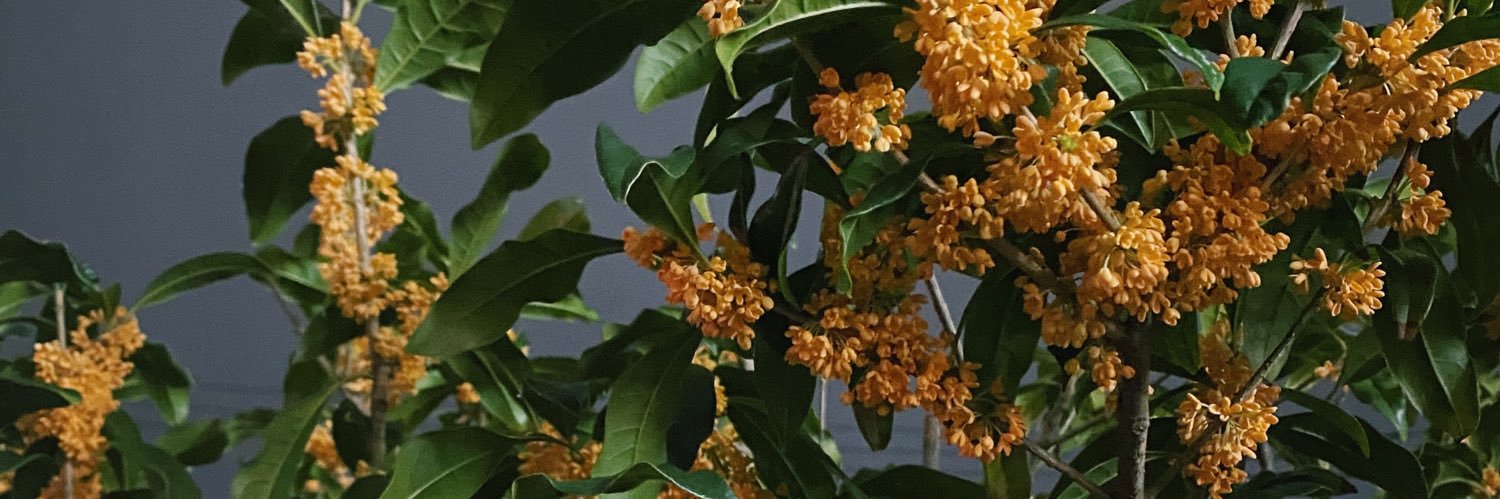 smz_34's profile banner image
