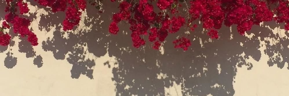 MariamKuu's profile banner image