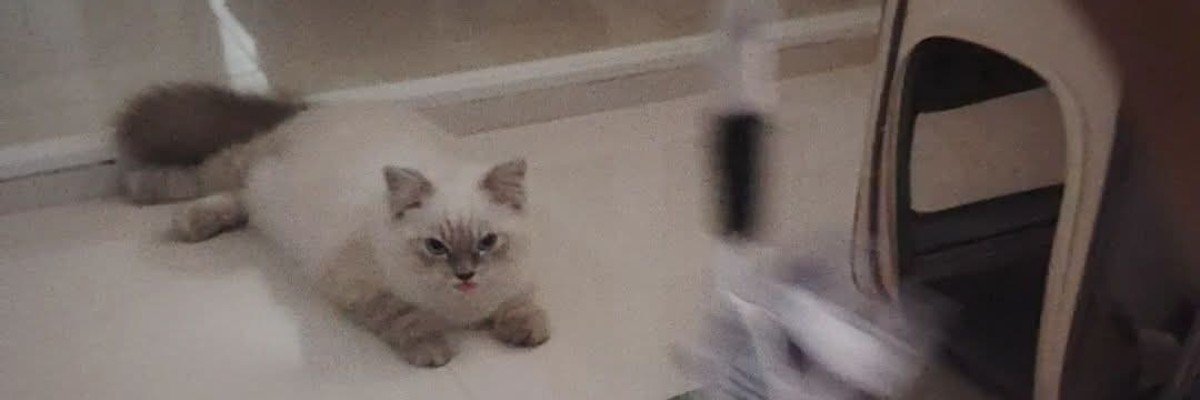 Theamazingbasil's profile banner image