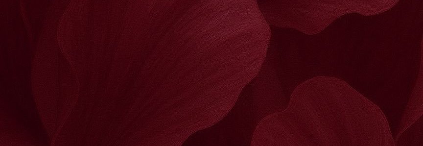 mmacielconc's profile banner image