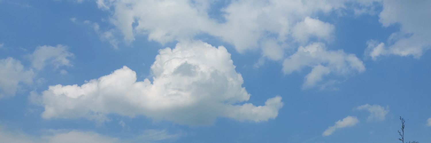 AmarylizCastro's profile banner image