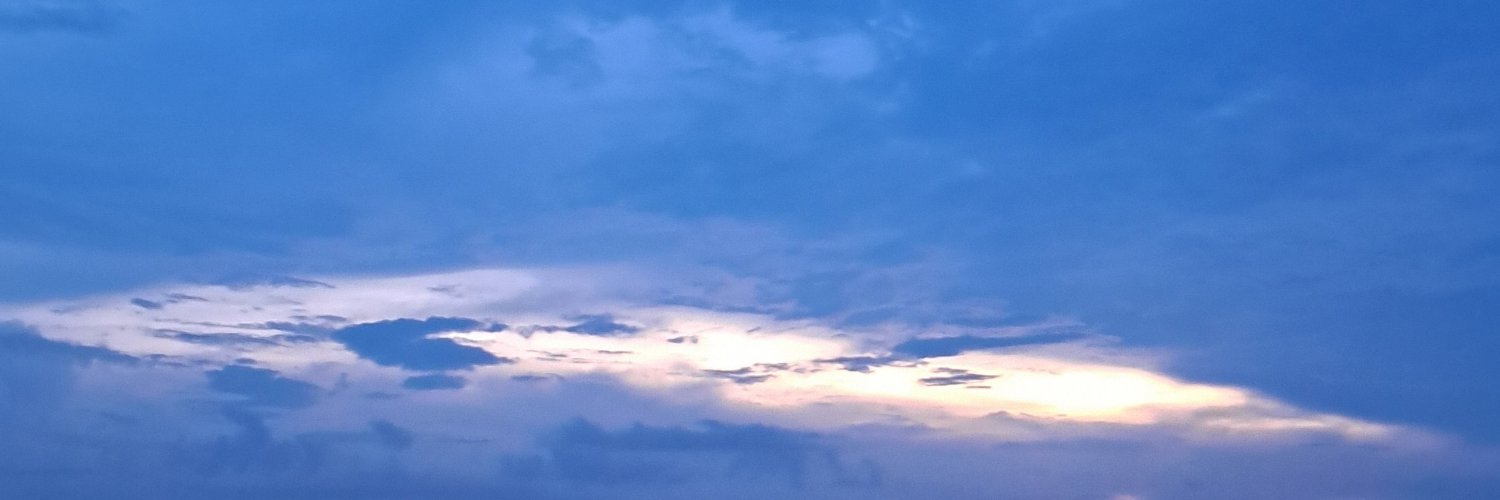 Shreyaazvp's profile banner image