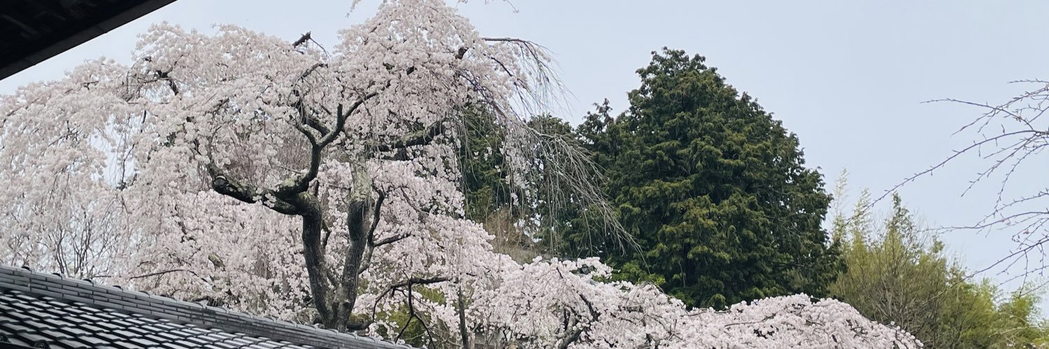 yumizco's profile banner image