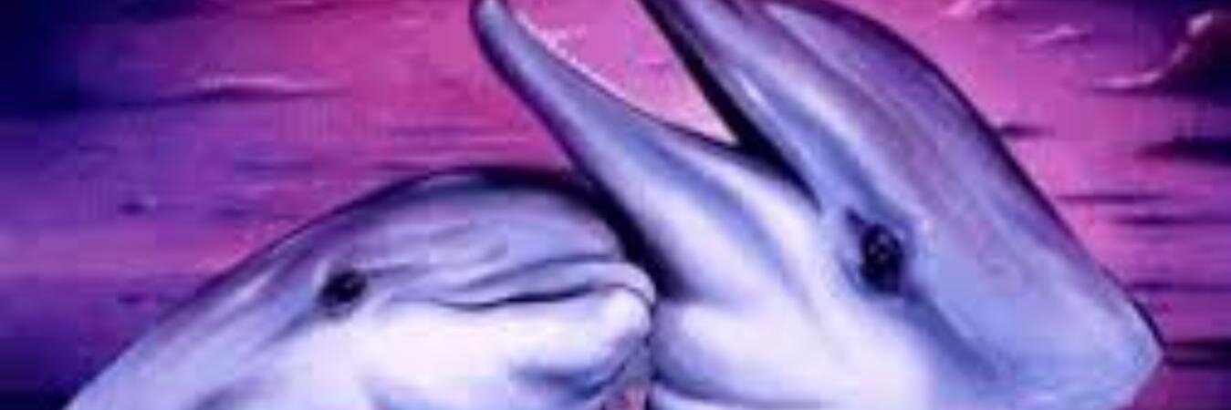 paulinagomezc's profile banner image