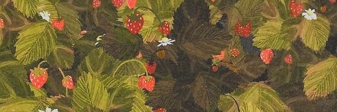 maeveeeo's profile banner image