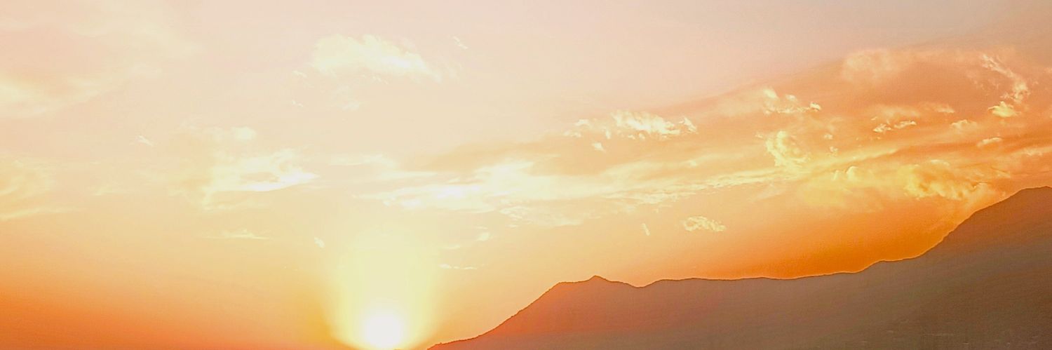 Xi banner