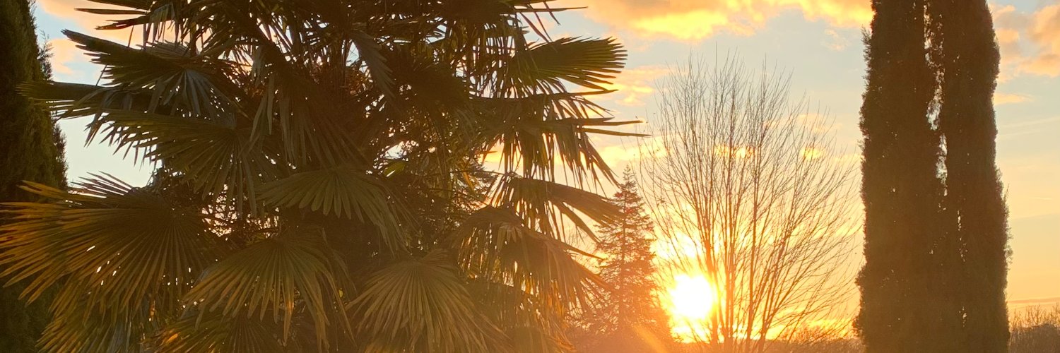 wo0dyn's profile banner image