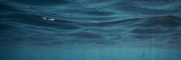 alinaspoint Profile Banner