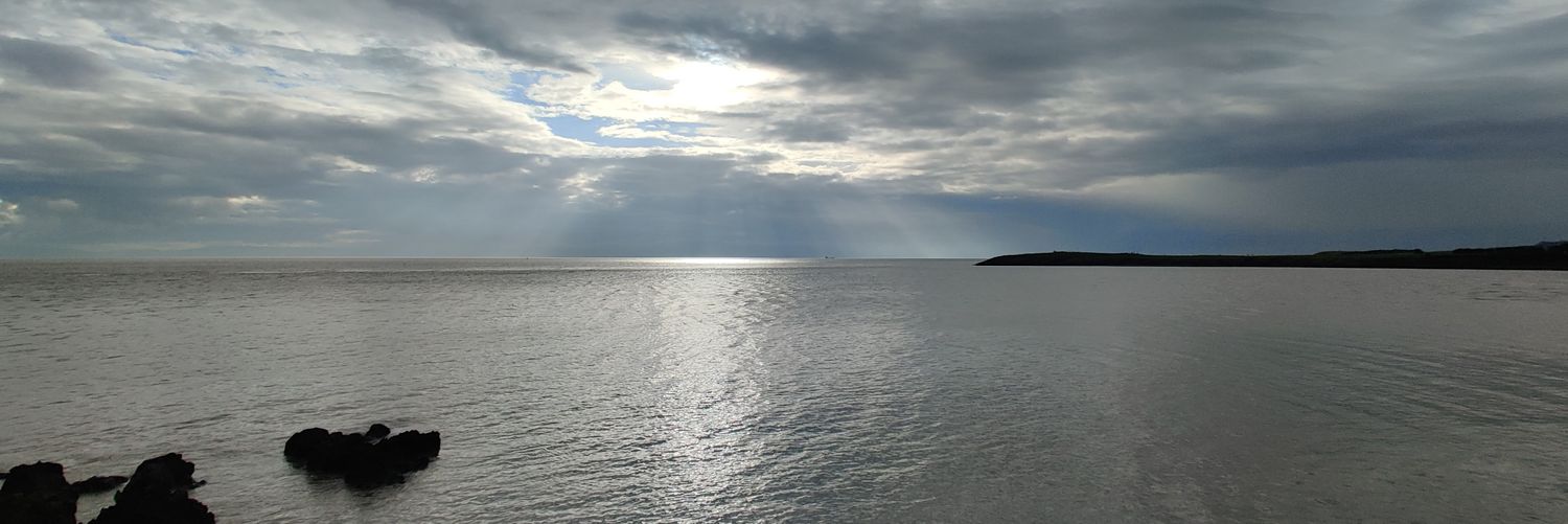 Andrew Hider banner