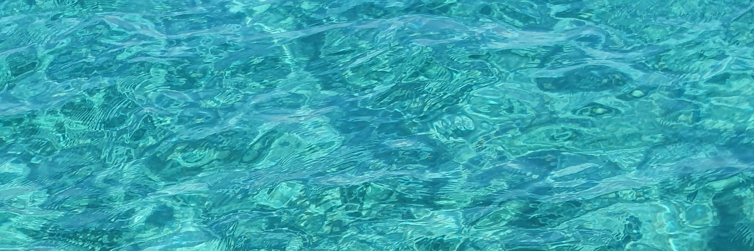 chryssou_'s profile banner image