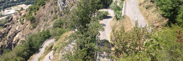 CarlChart Profile Banner