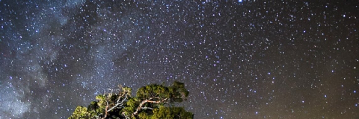 Prof Wian Erlank banner