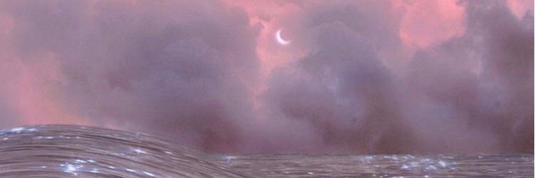 polinarussstk's profile banner image