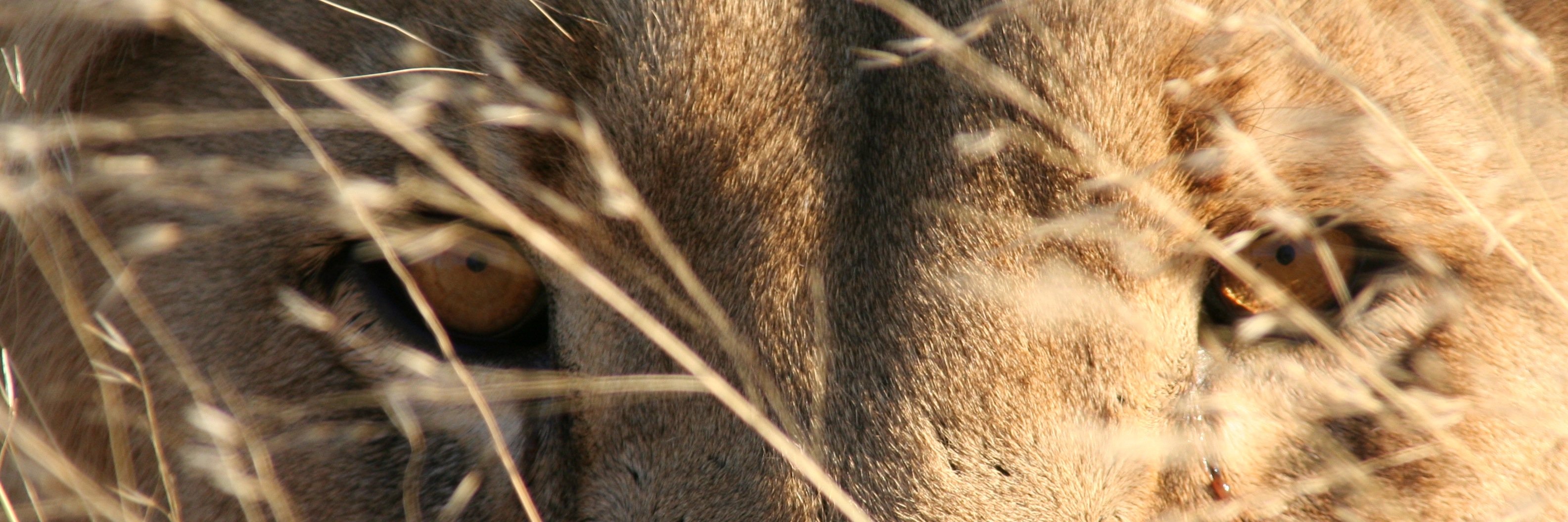 MnM0814's profile banner image