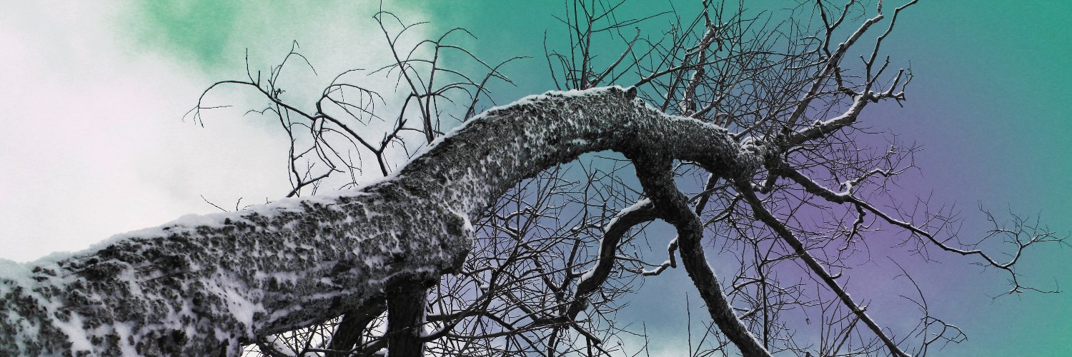 aerebb's profile banner image