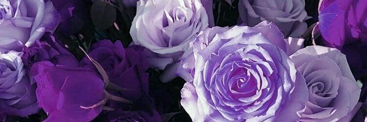 zzdbik's profile banner image