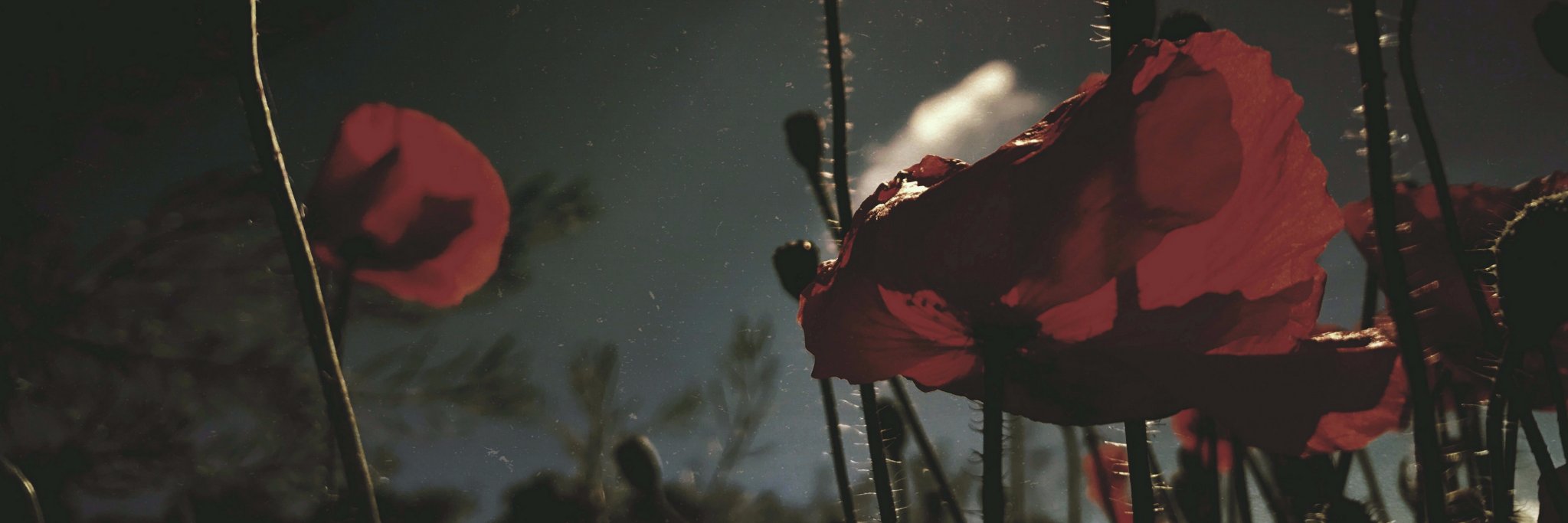 higherj's profile banner image
