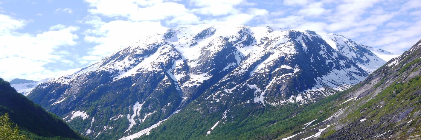 Henrik Gustav Faller banner