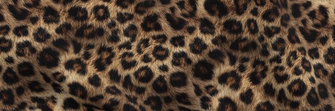svccubusriri's profile banner image