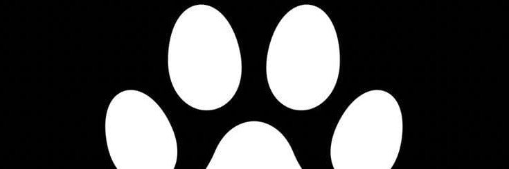 Ivanapsdu4x's profile banner image