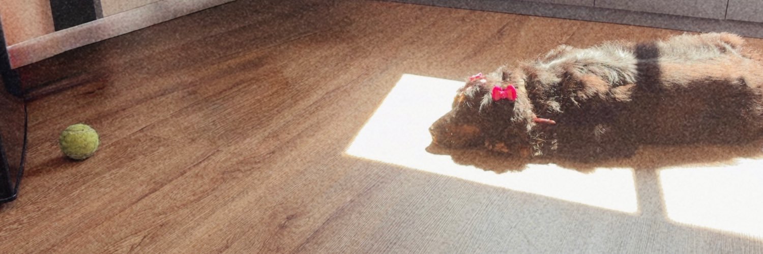 leee_ap's profile banner image