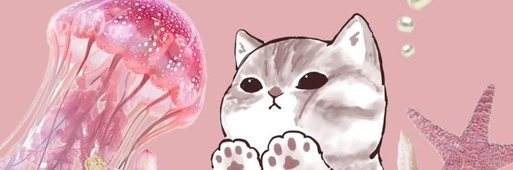 anaamaex's profile banner image