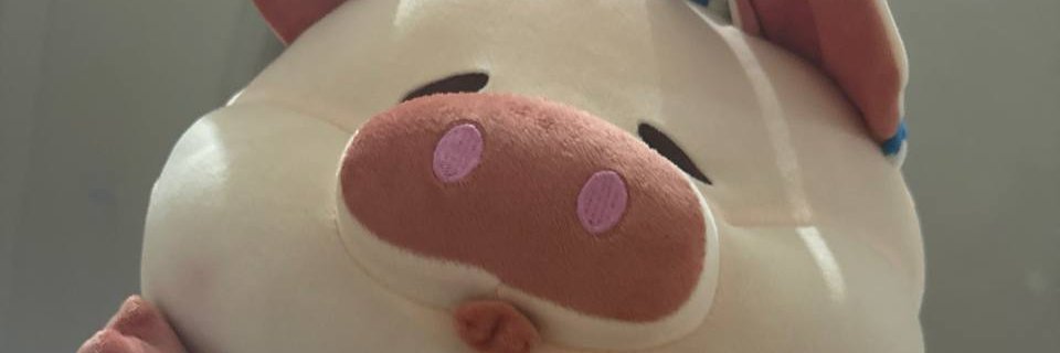 IngigerdSjkeuw's profile banner image