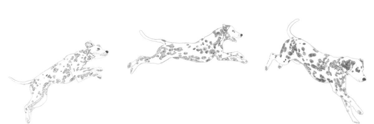 fetchforvina's profile banner image
