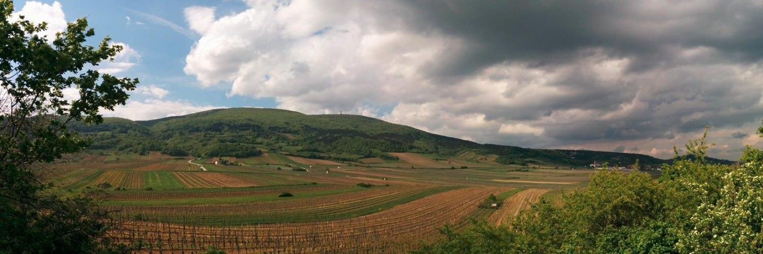 goertsch's profile banner image