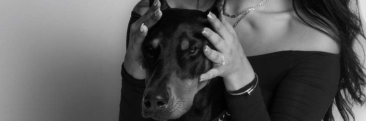 Annabel6oep's profile banner image