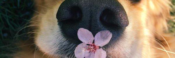 7DCalamaro's profile banner image