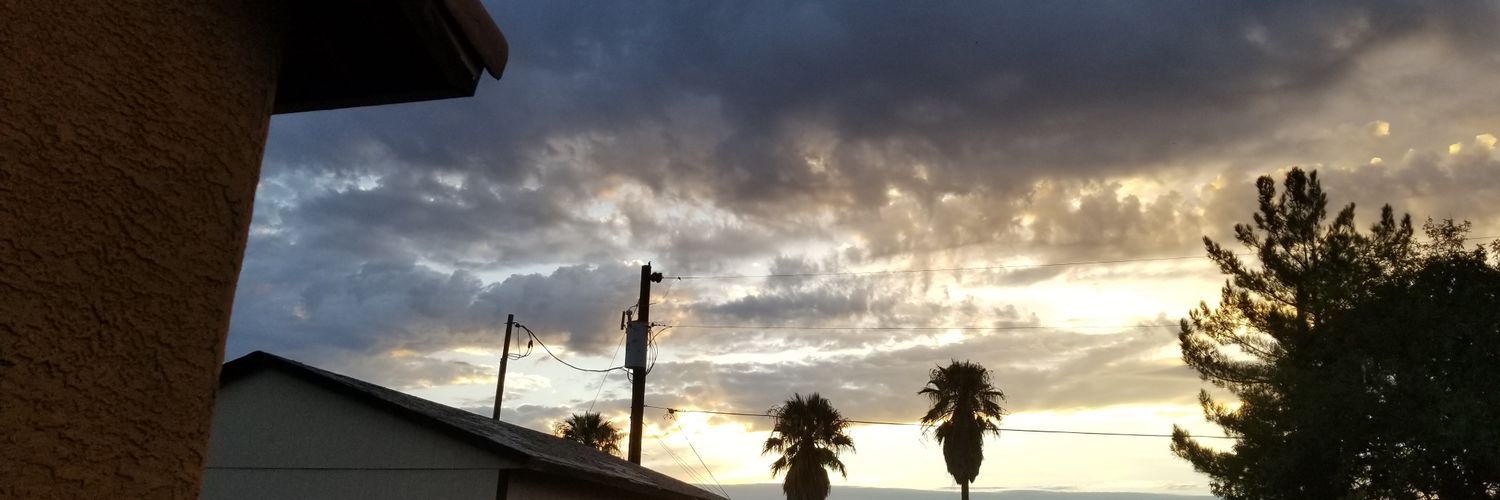 cattykenney's profile banner image