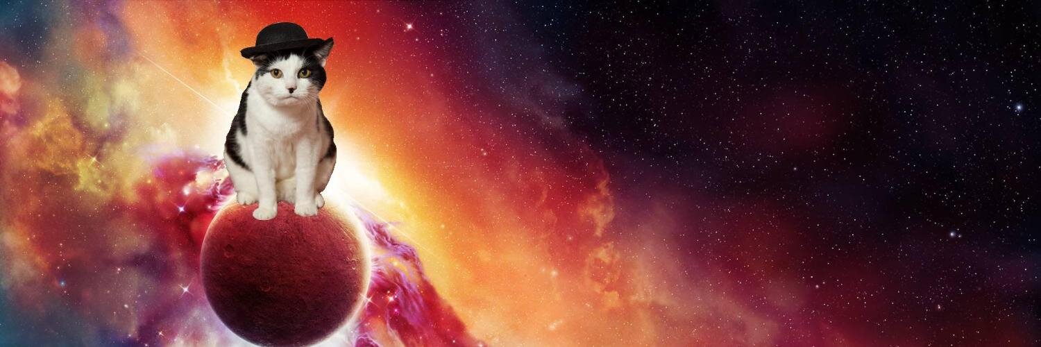 Nickout's profile banner image