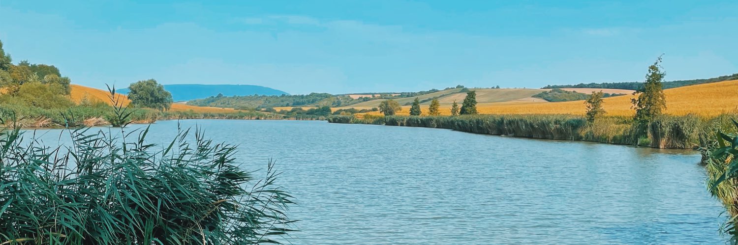 medlajn's profile banner image