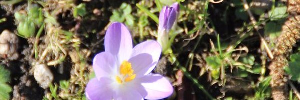 Robert4583's profile banner image