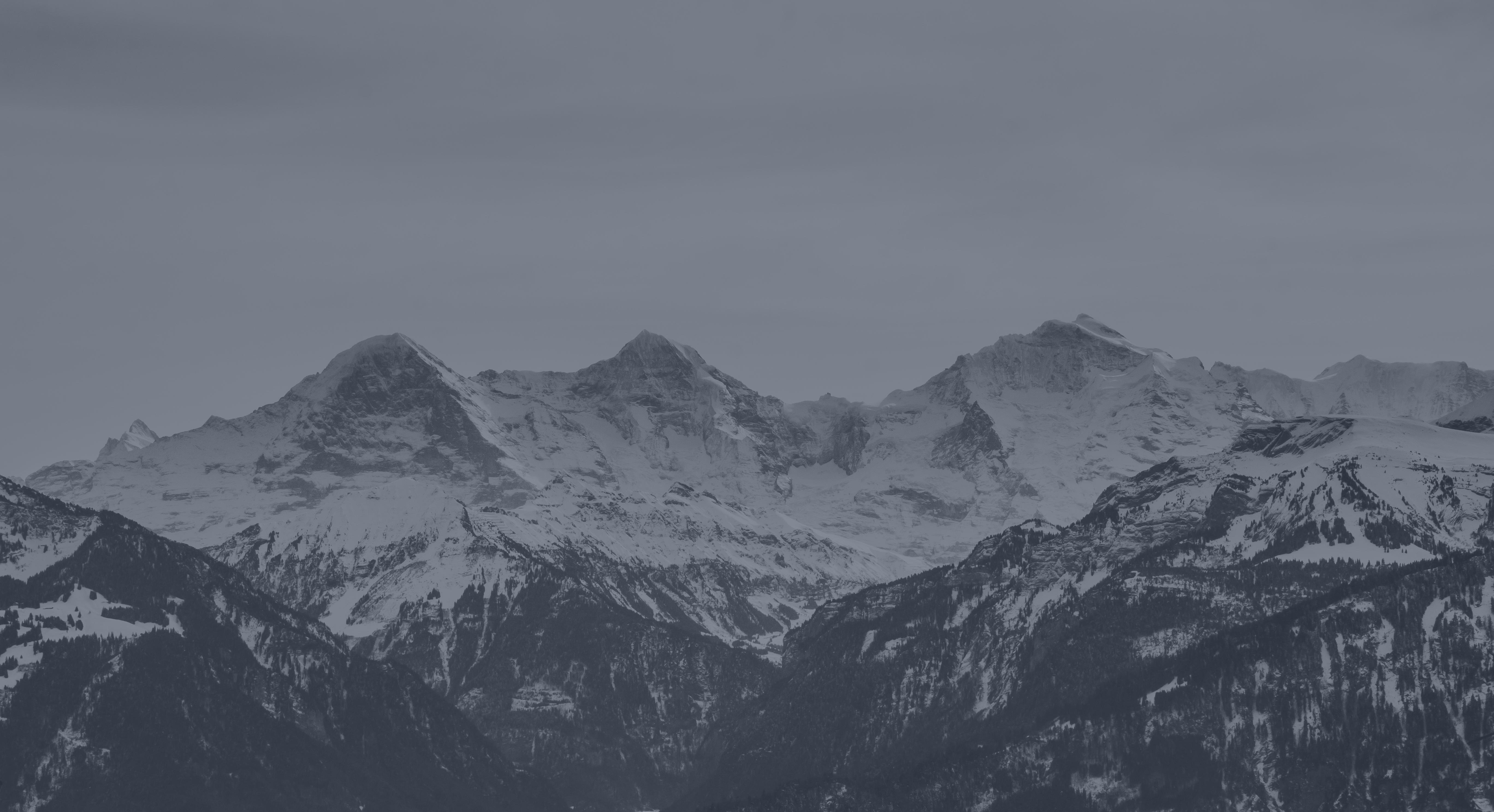 LisaJohnsob1vp's profile banner image