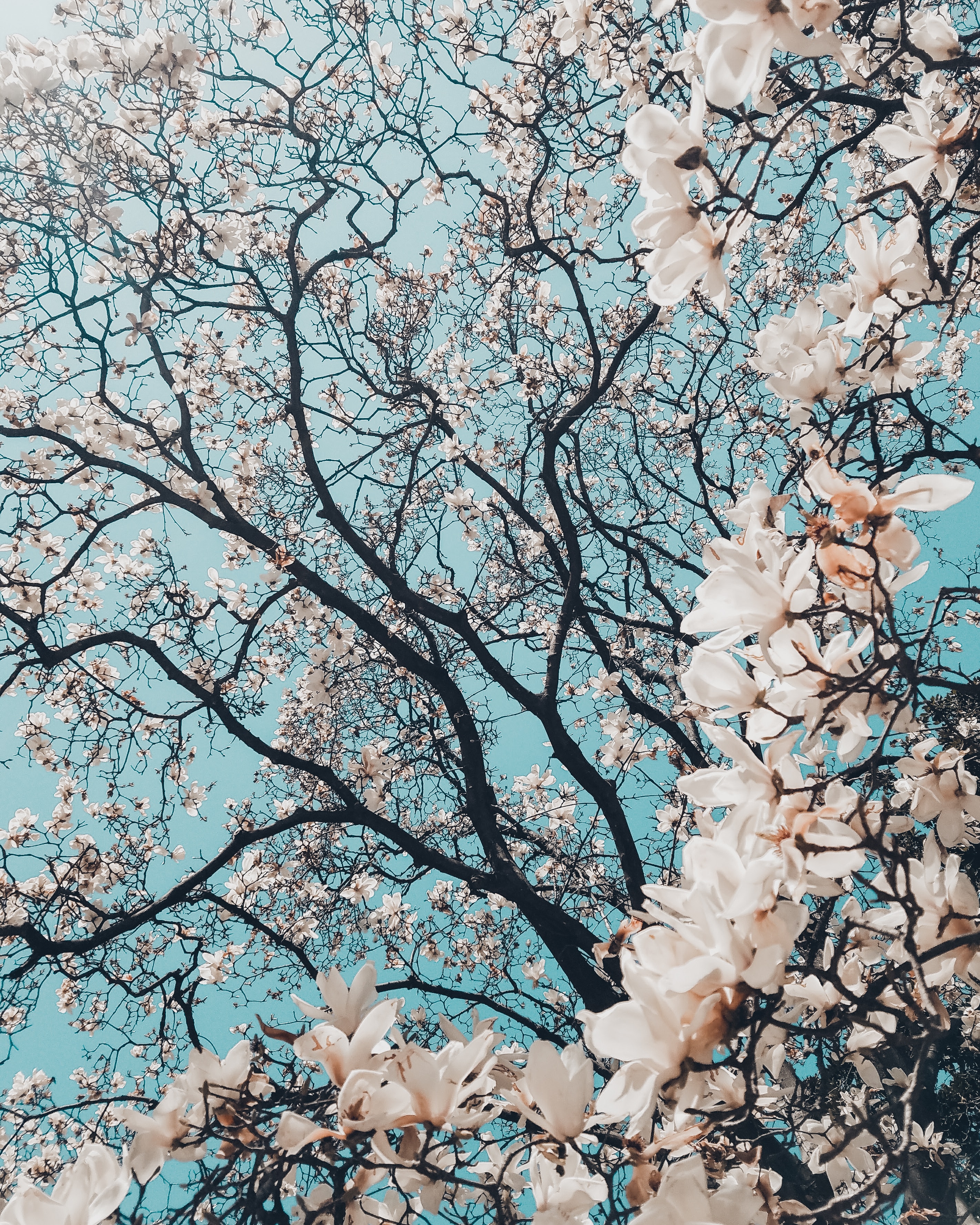 BrianJohnsnite's profile banner image