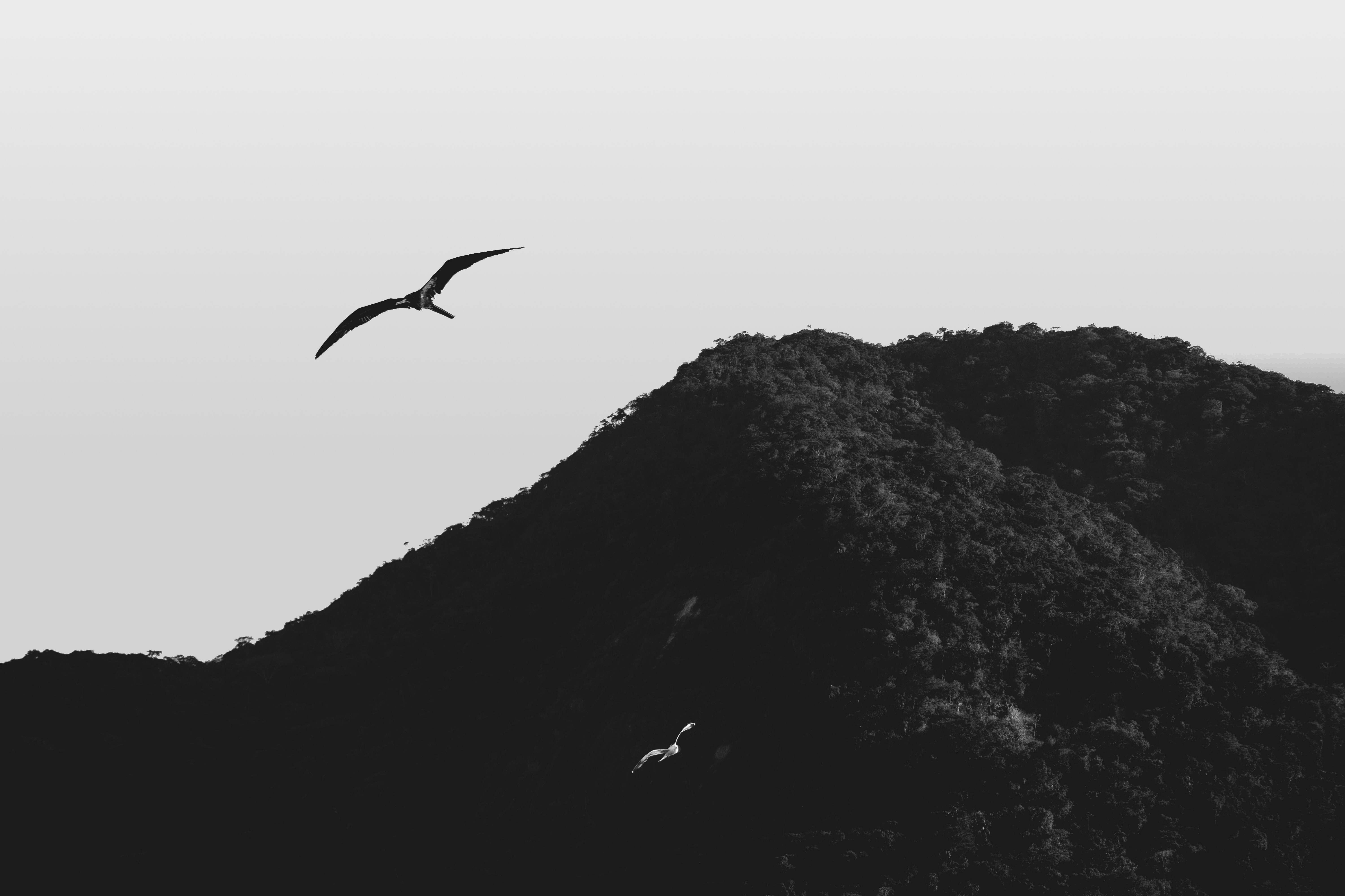 SusanBoothhyl1's profile banner image