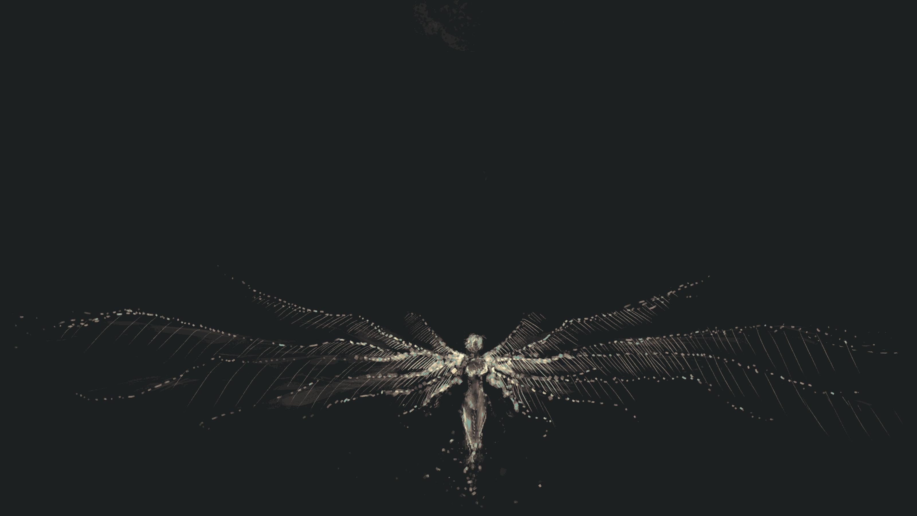 LauraPachejesn's profile banner image