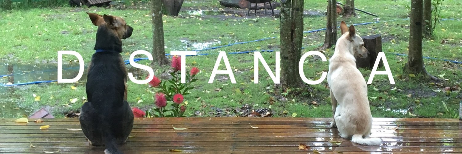 Rodrigo Bello banner