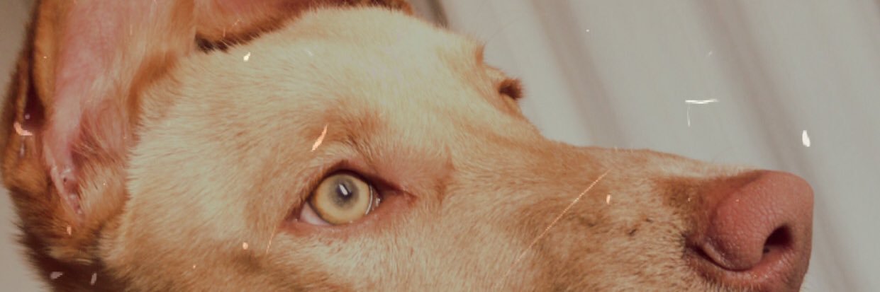 franpx's profile banner image