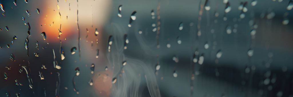 efebo2010's profile banner image