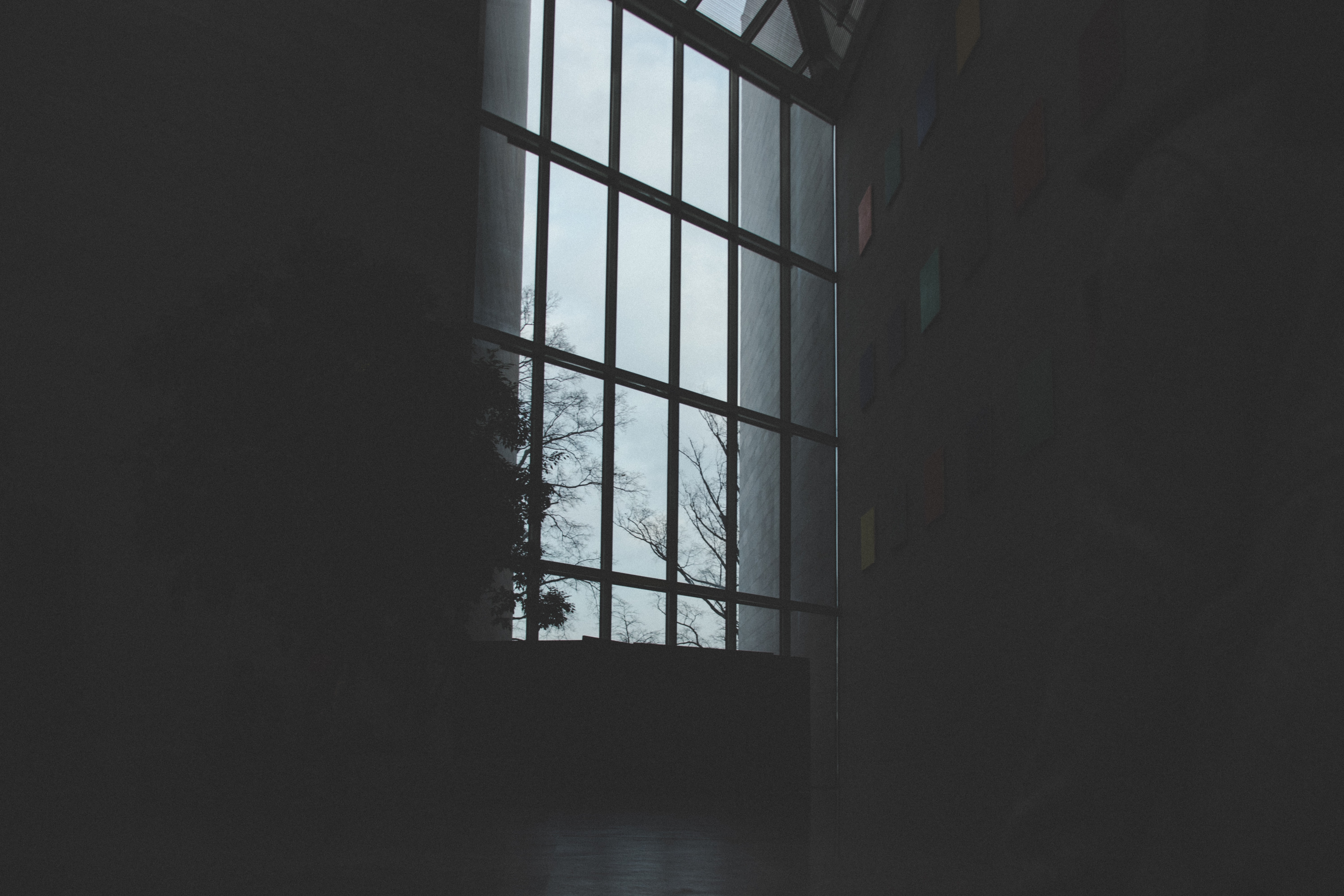 SusanLamke7n's profile banner image