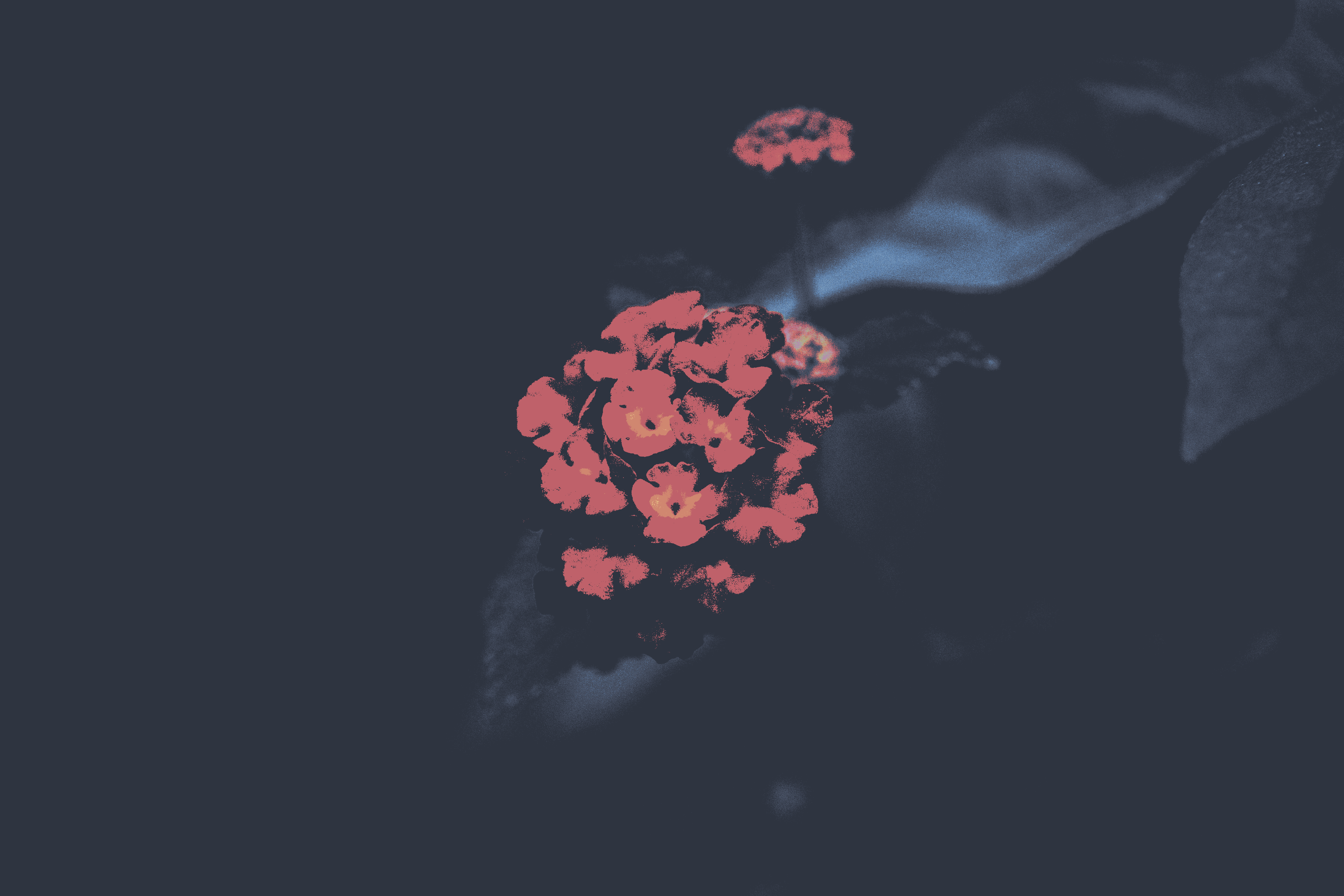 ZacharyHal6hod's profile banner image
