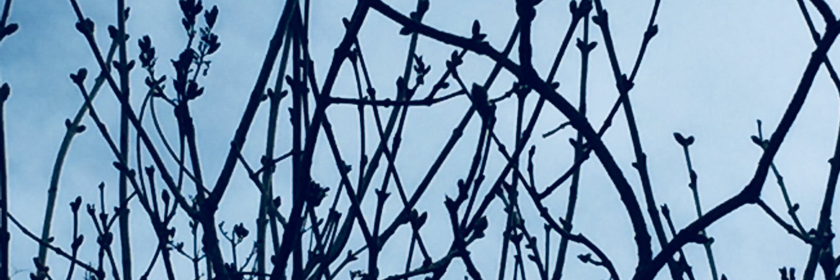 AnExPatReturn's profile banner image