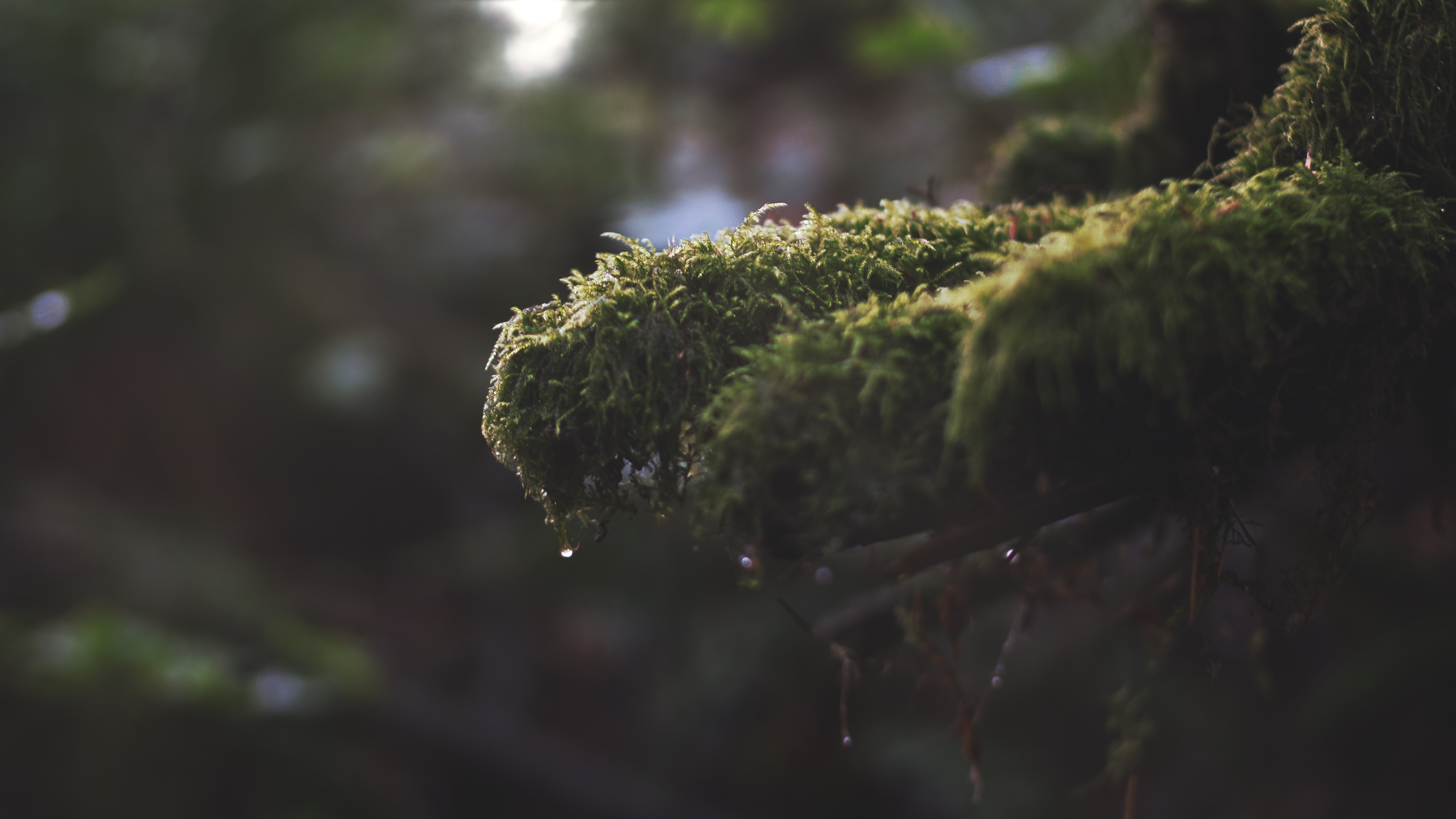 AndrewGray1l3v's profile banner image