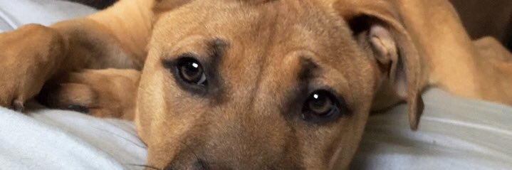 karinaaabby's profile banner image